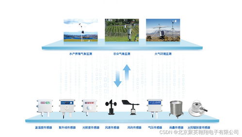 聚英農(nóng)業(yè)氣象環(huán)境監(jiān)測(cè)系統(tǒng) 氣體檢測(cè)在智慧農(nóng)業(yè)中的核心應(yīng)用
